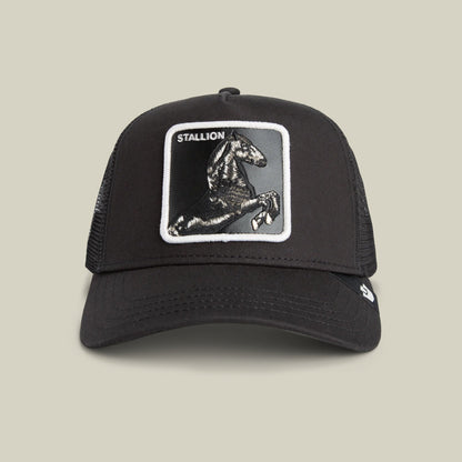 Stallion Trucker VOID