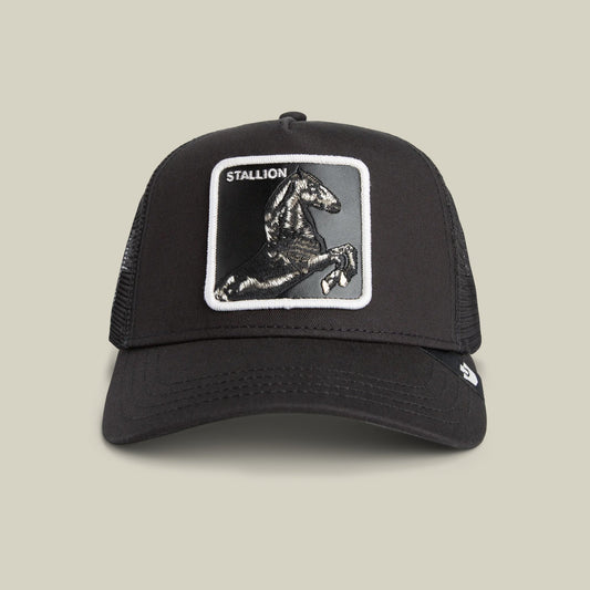 Stallion Trucker VOID