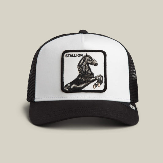 Stallion Trucker DUST / VOID