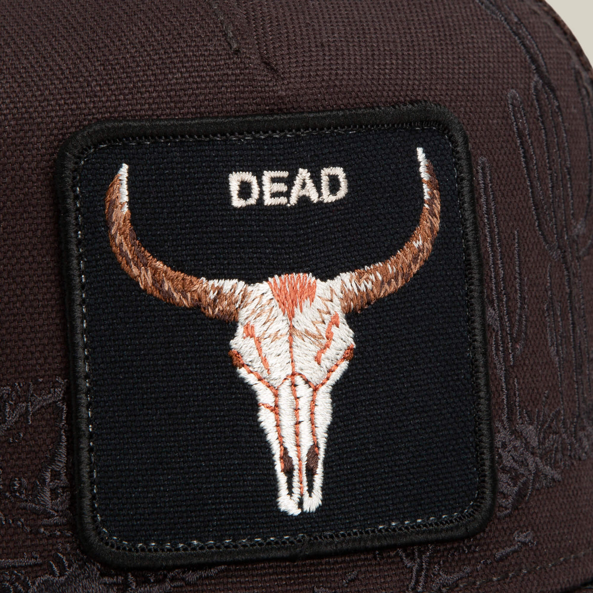 Badlands Skull Ground
