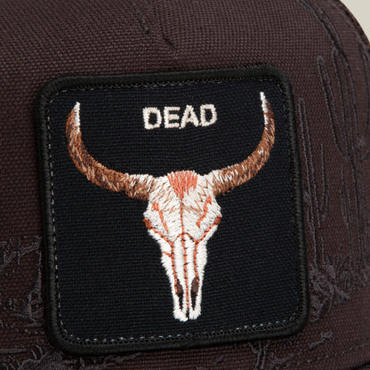 Badlands Skull Ground