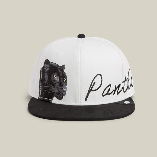 6-Panel Panther Script DIGITAL
