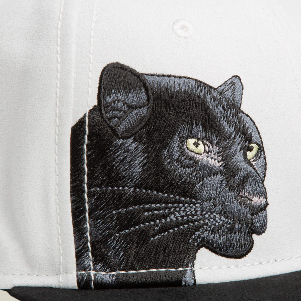 6-Panel Panther Script DIGITAL