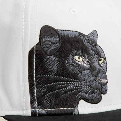 6-Panel Panther Script DIGITAL