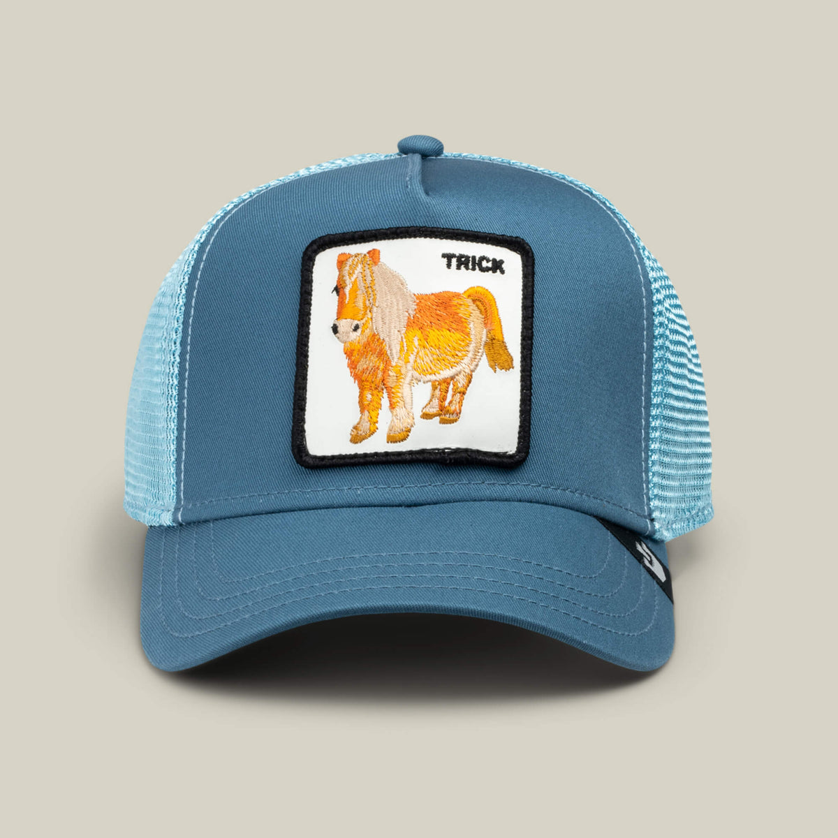 Dad and Pony Show (Kids) Air Blue
