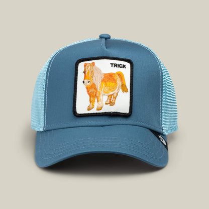Dad and Pony Show (Kids) Air Blue