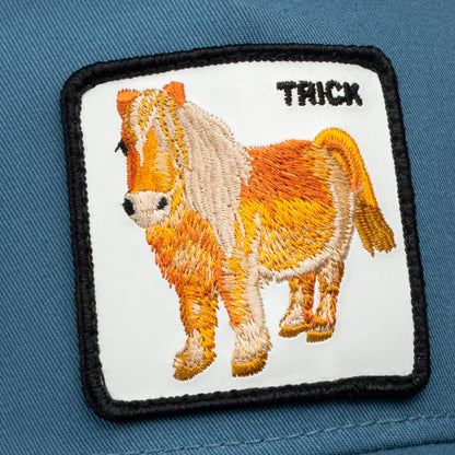 Dad and Pony Show (Kids) Air Blue
