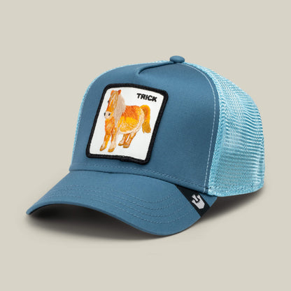 Dad and Pony Show (Kids) Air Blue