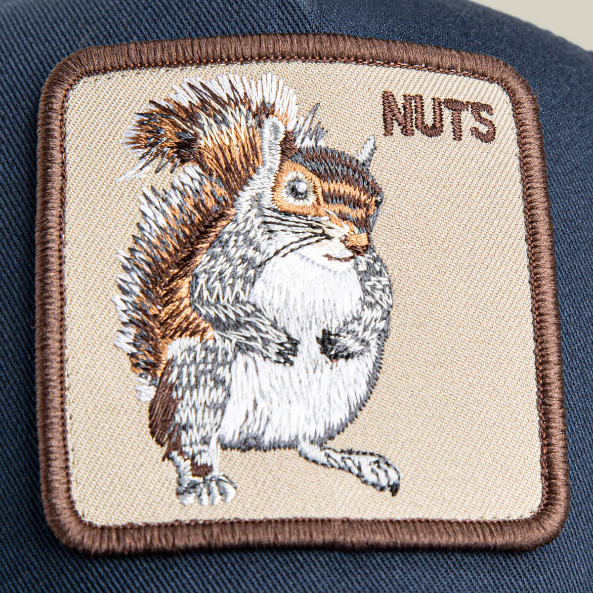 Nuts Mini EDGE