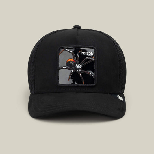 Black Out Spider Void