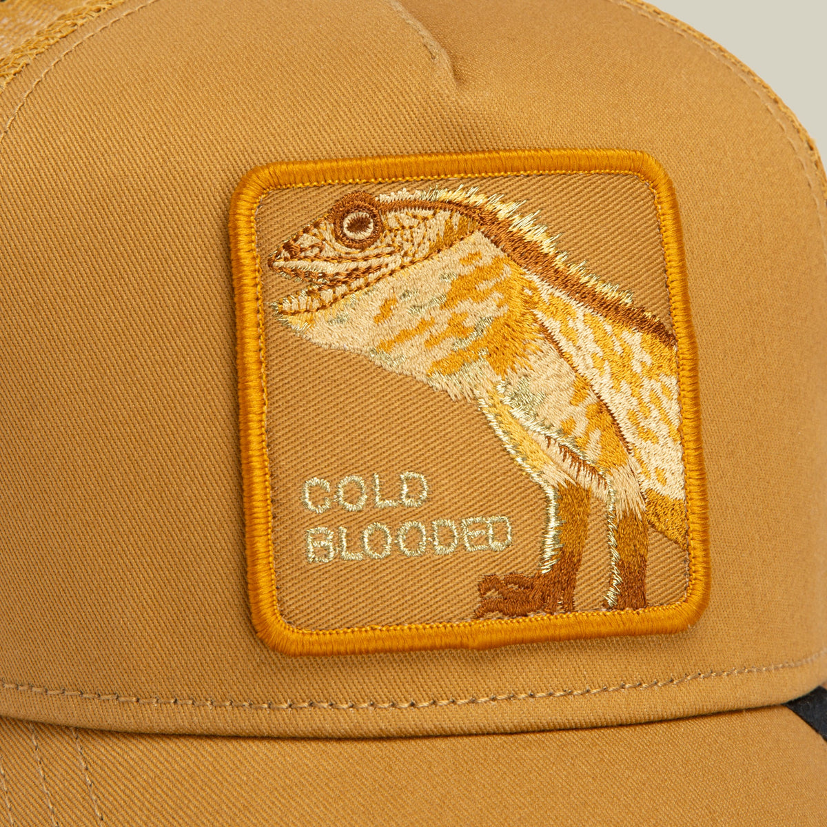 Circle of Life - Cold Blooded Amber