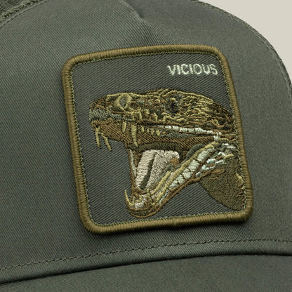 Circle of Life - Vicious Palm