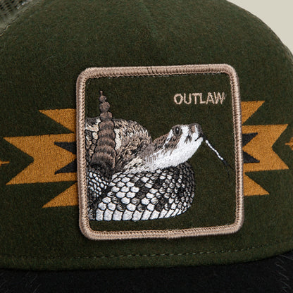 Canyon Outlaw Palm