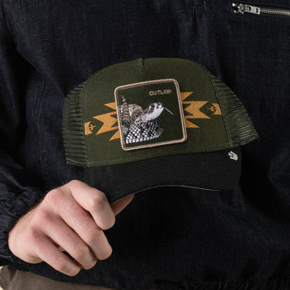 Canyon Outlaw Palm