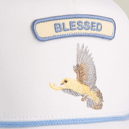 Pop Rocker Blessed Blank
