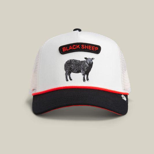 Pop Rocker Sheep Blank