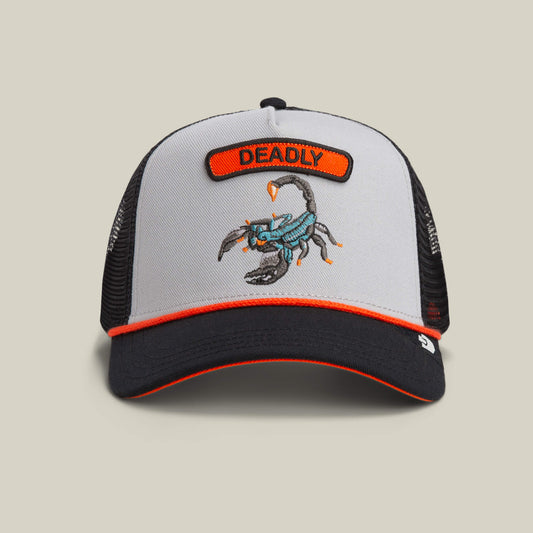 Pop Rocker Scorpion Gloss