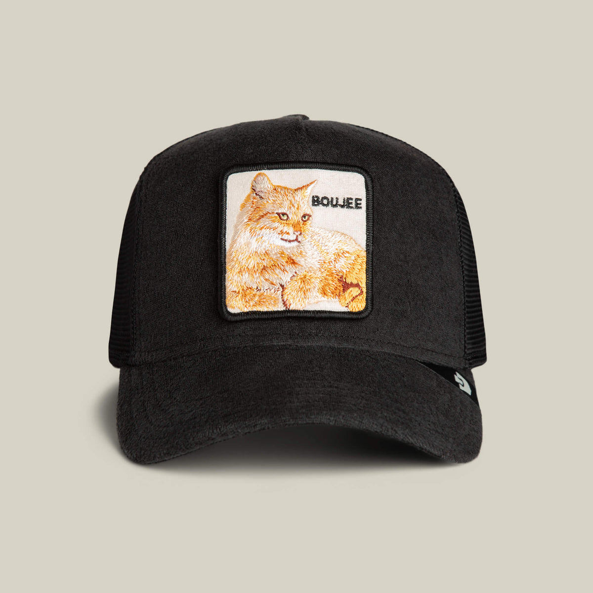 Terry Cloth Cat VOID