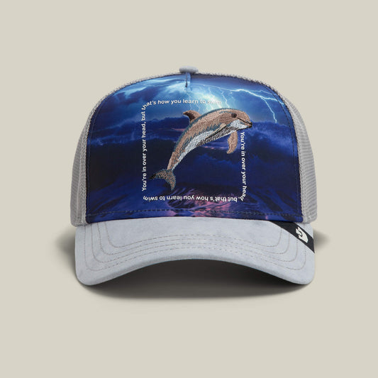 Through the Storm - Dolphin GLOSS