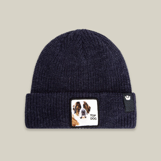 The Top Beanie GALACTIC
